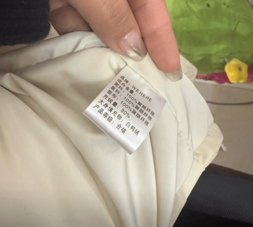 物为“飞丝” 服装城：已退款并回收暂未确认为“飞丝”j9九游会(中国)网站女子称500元买的羽绒服填充(图1)