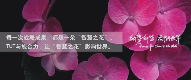 IKEA）的全球化历程、品牌战略与启示j9九游会登录从小镇走向世界 宜家（(图5)